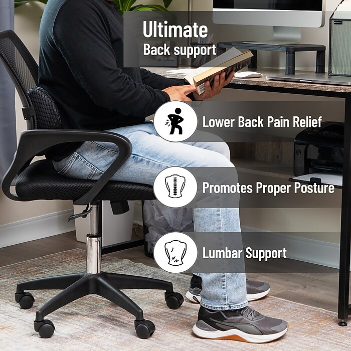 Mind Reader Memory Foam Back Cushion Lumbar Support Pillow with