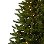 Nearly Natural 5376 Rembrandt Christmas Tree with Stand~#|#~08E9D2B3-FBA6-40C5-A77DF15B1FC3FE32_sc7