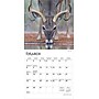 2026 BrownTrout White Tailed Deer 7" x 7" Monthly Wall Calendar (9798330706327)~#|#~08E9F8BC-15DB-4676-94810F8143A5E36D_sc7