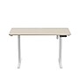 Huanuo 40"W Electric Rectangular Adjustable Standing Desk, Natural (HNESD67N)~#|#~092A6077-0BBF-4D66-829C7CDA77CC1685_sc7