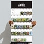 2026 TF Publishing 12" x 17" TF Publishing 12" x 12" Birds: Backyard and Beyond Wall Calendar 26-1121~#|#~093090DC-231D-40D5-AF5230C8DDD0A287_sc7