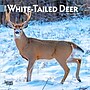 2026 BrownTrout White Tailed Deer 7" x 7" Monthly Wall Calendar (9798330706327)~#|#~09468539-2AD3-4B6E-AB5519442AF83939_sc7