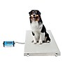 Viva Comfort ME904 ADI904-04-MK Veterinary Scale with Wheels, White, 660 lbs. Capacity~#|#~0951353A-83D0-4C71-9A4AC9F3B43C5315_sc7