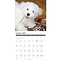 2027 Willow Creek Bichon Frises 12" x 12" Monthly Wall Calendar, Assorted Colors (59197)~#|#~095E3EC0-C549-4B99-B7F4DEA7C620559B_sc7