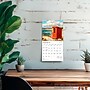 2026 BrownTrout Outhouses 7" x 7" Monthly Wall Calendar (9798330705023)~#|#~0980351B-1269-477A-A58EFDD9C3C975D3_sc7