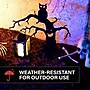 Haunted Hill Farm 2-Ft. Metal Spooky Tree Stake with LED Lantern, Indoor & Covered Outdoor, Plug-in, Black (HHMT024OWLTREE-BLK)~#|#~0987536C-BBD9-4A80-98BA6A78079B3ABC_sc7