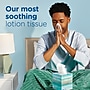 Puffs Plus Lotion Facial Tissue, 2-ply, 56 Tissues/Box, 4 Boxes/Pack (34899)~#|#~09A325BD-9F1C-42AB-8A0E54BDC2FDC480_sc7