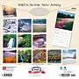 2026 BrownTrout New Jersey Wild & Scenic 12" x 12" Monthly Wall Calendar (9798330704842)~#|#~09A4E66A-612E-4354-89A593428A4FFE59_sc7