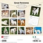 2027 BrownTrout Great Pyrenees 12" x 12" Monthly Wall Calendar (9798330712496)~#|#~09AC1BDC-DAD1-43EF-97372076F7F31F02_sc7