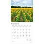 2026 BrownTrout Sunflowers 12" x 12" Monthly Wall Calendar (9798330705696)~#|#~09AEA1F6-A2CF-4678-AAEE62F9E3783825_sc7