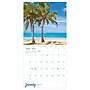 2027 TF Publishing Tropical Beaches 10" x 12" Monthly Wall Calendar, Multicolored (27-1030)~#|#~09B63C3E-55F4-4F11-8746AF98E8685322_sc7