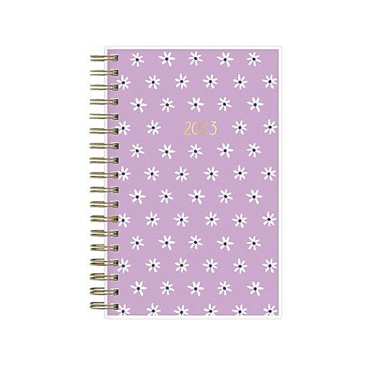2023-blue-sky-idlewild-co-mini-daisies-4-x-6-weekly-monthly