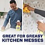 Mr. Clean Freak Mist Refill, Lemon Zest, 16 oz. (79130)~#|#~09C98D47-5D8A-4487-887FE135D66D6BC0_sc7