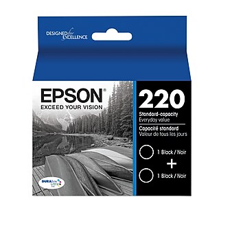Epson T220 Black Standard Yield Ink Cartridge, 2/Pack (T220120-D2)