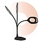 OttLite 2-in-1 LED Magnifier Floor and Table Light, Black (438PN9)~#|#~09CBD173-7504-4487-83CE5FC6EE09F1E0_sc7