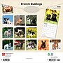 2026 BrownTrout French Bulldogs 12" x 12" Monthly Wall Calendar (9798330703302)~#|#~09CC14E4-07B6-40E2-BB153AF527821FFB_sc7