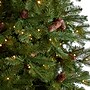 Nearly Natural 10-ft Fraser Fir Artificial Christmas Tree with 780 Multicolor LED Lights and 2327 Bendable Branches (T3265)~#|#~09D69DD8-4A8A-4395-A2631FEFCA9C3CAE_sc7