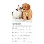 2027 BrownTrout Kittens & Puppies 7" x 7" Monthly Wall Calendar (9798330709724)~#|#~09E4CB21-70D4-437C-84F612D6705B2E8C_sc7