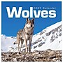2027 TF Publishing Wolves 12" x 12" Monthly Wall Calendar, Multicolored (27-1035)~#|#~09F58539-2DA3-42C8-A74E824834F2F56B_sc7