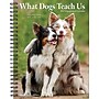 2027 Willow Creek What Dogs Teach Us 6.5" x 8.5" Weekly & Monthly Desk Calendar (64450)~#|#~0A21CDDA-CCF4-498C-B2AA11AF93A7F088_sc7