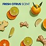 Softsoap Antibacterial Liquid Hand Soap Refill, Fresh Citrus Scent, 50 Fl. Oz. (US05266AEA)~#|#~0A5346ED-2B19-4B92-B0F46E7CC9CD3001_sc7
