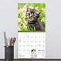 2026 TF Publishing Kittens Mini 7" x 7" Monthly Wall Calendar, Multicolor (26-2002)~#|#~0A580C50-FF97-4AB2-B8D3512471006F06_sc7