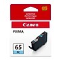 Canon 65 PC Photo Cyan Standard Yield Ink Cartridge (4220C002)~#|#~0A647573-3786-4652-B1A377719DEB5F40_sc7