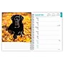 2026 BrownTrout Black Labrador Retrievers 6.5" x 7.75" Weekly Planner (9798330704231)~#|#~0A68C9AB-4C94-4EDB-BCEBA569F14DEFC4_sc7