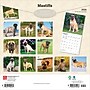 2026 BrownTrout Mastiffs 12" x 12" Monthly Wall Calendar (9798330704538)~#|#~0A79C34A-AE2E-4356-8202B2DEA3647A79_sc7