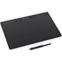 Wacom Intuos Pro 13.7" x 7.7" Graphics Tablet, Black (PTK870K0A)~#|#~0A7A835B-C76A-4473-99E0427B98FA409E_sc7