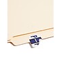 Smead BCCR Labels File Folder Label, P, Violet, 500 Labels/Pack (67086)~#|#~0A7F0F68-C59E-4BD2-99A1CBDE1C79EC6D_sc7