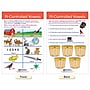 NewPath Learning Decoding & Phonics Bulletin Board Charts, 12" x 18", 8/Set (NP-921501)~#|#~0A8340A6-4620-4177-B95F2FC9D97DF2FD_sc7
