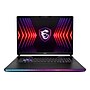 MSI Raider GE78 HX 17" QHD+ 240Hz Gaming Laptop, Intel Core i9-14900HX, RTX 4090, 64GB RAM, 2TB SSD, Win 11 Home (14VIG-600US)~#|#~0A8B6F50-3799-43AB-B5361F29F9059DFA_sc7