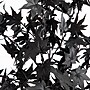 Nearly Natural Pre-Lit Artificial Halloween Black Maple Tree, 6' (T5219)~#|#~0A9B51B8-E9FA-44AB-B56B51C4ED34F461_sc7