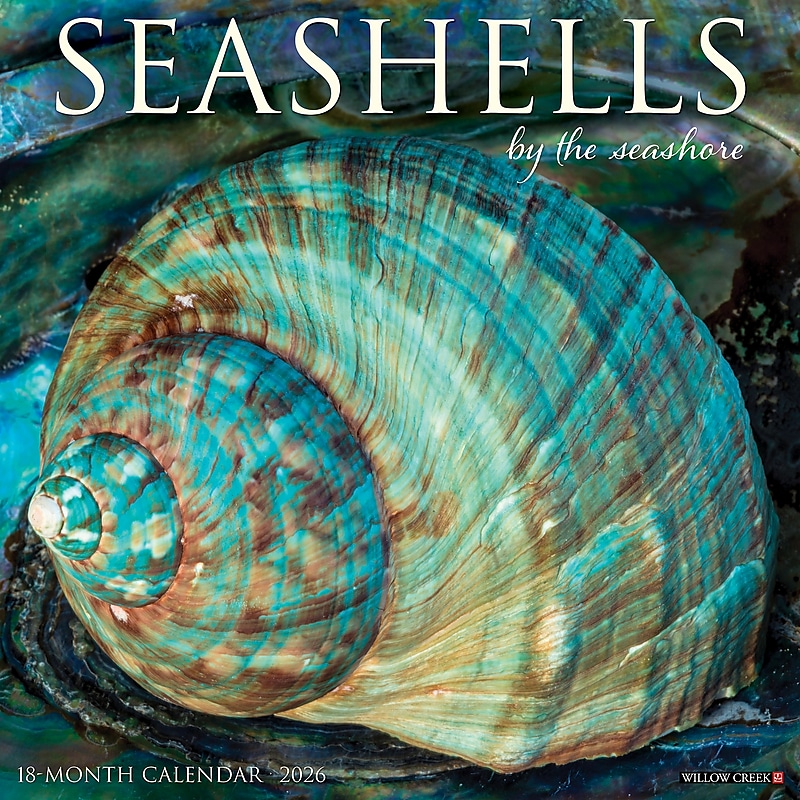 2026 Willow Creek Seashells 12" x 12" Monthly Wall Calendar (52709) image 1