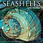 2026 Willow Creek Seashells 12" x 12" Monthly Wall Calendar (52709)~#|#~0AA48FDB-AE83-4D64-A3B9791434695B2F_sc7
