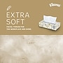 Kleenex Professional Standard Facial Tissue, 2-Ply, White, 125 Sheets/Box, 48 Boxes/Carton (21606)~#|#~0ABB24CB-A59D-49B7-BB380269F01A59AA_sc7