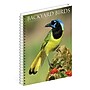 2026 Willow Creek Backyard Birds 6.5" x 8.5" Daily & Monthly Personal Organizer (54574)~#|#~0AC252FC-BB37-4B70-986B3A74BB2DE818_sc7
