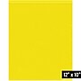 10" x 12" Reclosable Poly Bag, 2 Mil, Yellow, 1000/Carton (PB3655Y)~#|#~0ACBDA87-6F4E-40A9-8FA722D27CDFF8D9_sc7
