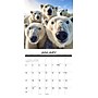 2027 Willow Creek Animal Selfies 12" x 12" Monthly Wall Calendar, Assorted Colors (58800)~#|#~0ADEEA29-BE3D-4E49-B8FFF9D7B6E89AE1_sc7
