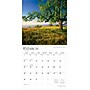2026 BrownTrout The Majesty of Trees 12" x 12" Monthly Wall Calendar (9798330704491)~#|#~0AE1183B-BB6B-4256-80F16A9C4DE758C6_sc7