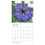 2027 TF Publishing Flowers 10" x 12" Monthly Wall Calendar, Multicolored (27-1034)~#|#~0AFAAF14-E816-44FC-A2D9C5FD134E9B20_sc7