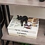 Mind Reader Lucky Wealth Elephant Figurine, Black (ELEPHANT-BLK)~#|#~0AFD41CA-2120-48AA-BD44AEE56A59DDDE_sc7