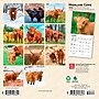 2026 BrownTrout Highland Cows 7" x 7" Monthly Wall Calendar (9798330703623)~#|#~0B07B9C3-A163-4B73-A5C51FD8E8D1A2F1_sc7