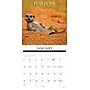 2027 Willow Creek Demotivationals  12" x 12" Monthly Wall Calendar (59999)~#|#~0B07DA93-B9FC-47DC-A61DBDB55A31BD3A_sc7