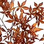 Nearly Natural 6' Autumn Japanese Maple Artificial Fall Tree (T4734)~#|#~7A7D59BE-5717-4D6E-9B2CD2B2E0899203_sc7