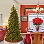 National Tree Company Downswept Douglas Fir Artificial Christmas Tree (PEDD8-345D-70)~#|#~0B255526-8F08-441F-9B1E0B75F18A8D84_sc7