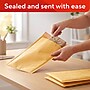Staples Bubble Mailers, #0 Size, 6" x 9", Lightweight Cushioned Envelopes - 25/Pack~#|#~0B480DB2-08B7-4F7B-897FAA068353A5F4_sc7
