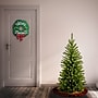 National Tree Company Kingswood Fir Artificial Christmas Trees (KW7-500-40)~#|#~0B57AD17-C02C-4E01-A27163A665059BBB_sc7