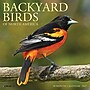 2027 Willow Creek Backyard Birds 7" x 7" Monthly Wall Calendar (63897)~#|#~0B59AFC5-EB82-4D3C-A9135F1220229EF5_sc7